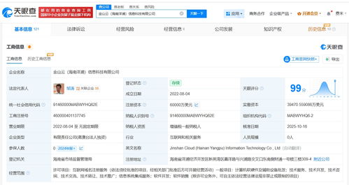 金山云旗下海南洋浦信息科技增資至6億美元，強化信息系統集成服務布局